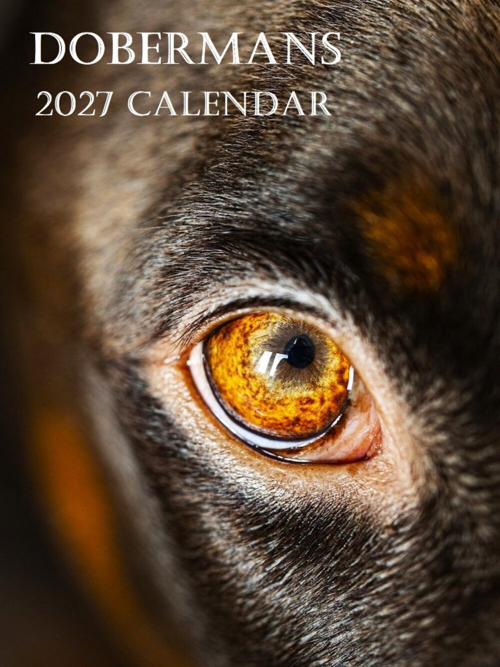 Doberman Calendar 2027 Doberman Pinscher Wall Calendar Dobie Calendar